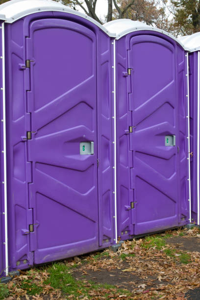 Best Portable Toilet Rental for Emergency Services  in Palmview South, TX